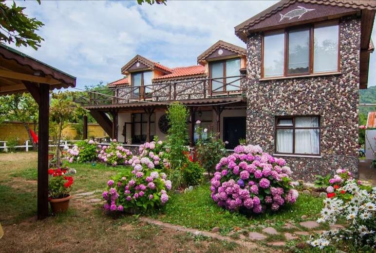 akarsu kamping amasra kamp