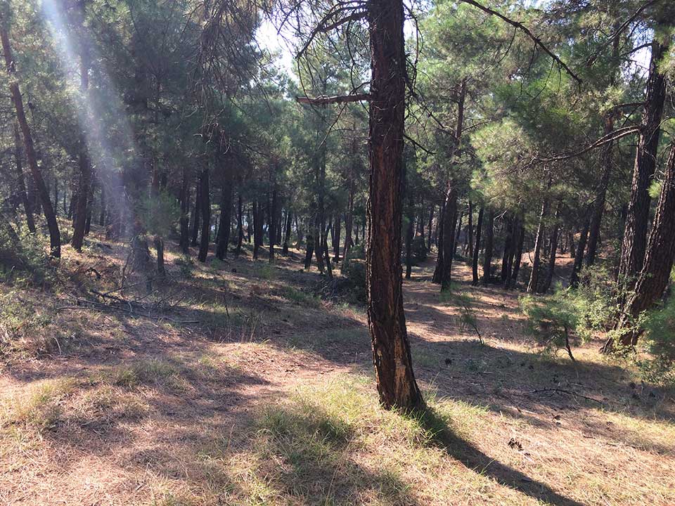 denizli piknik alanları