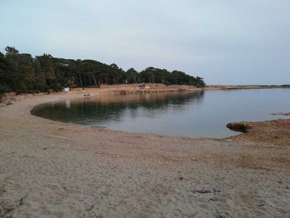 incekum orman kampi fiyat listesi