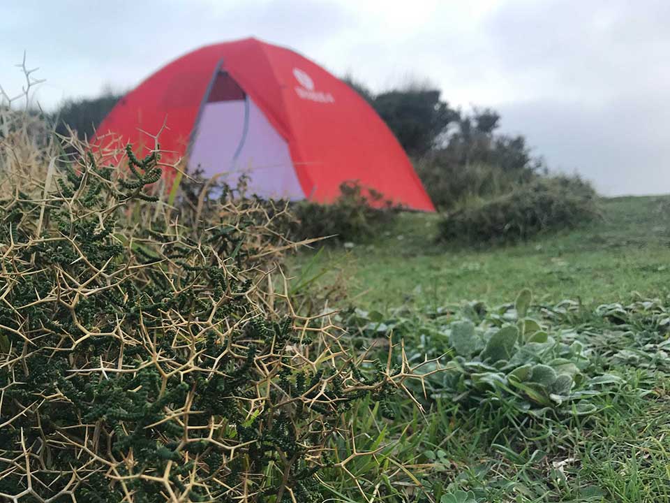 istanbul kamp alanları