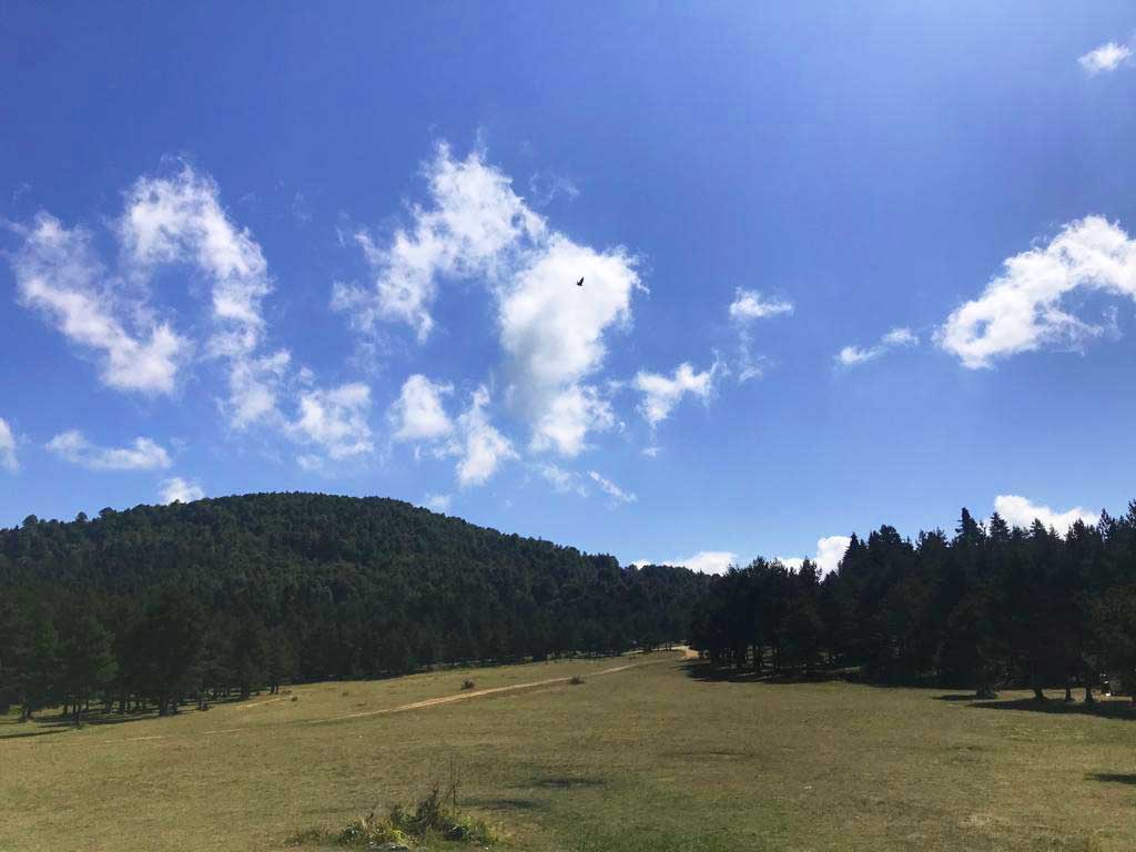 serindere kanyonu soğuk suyu kocaeli kampı