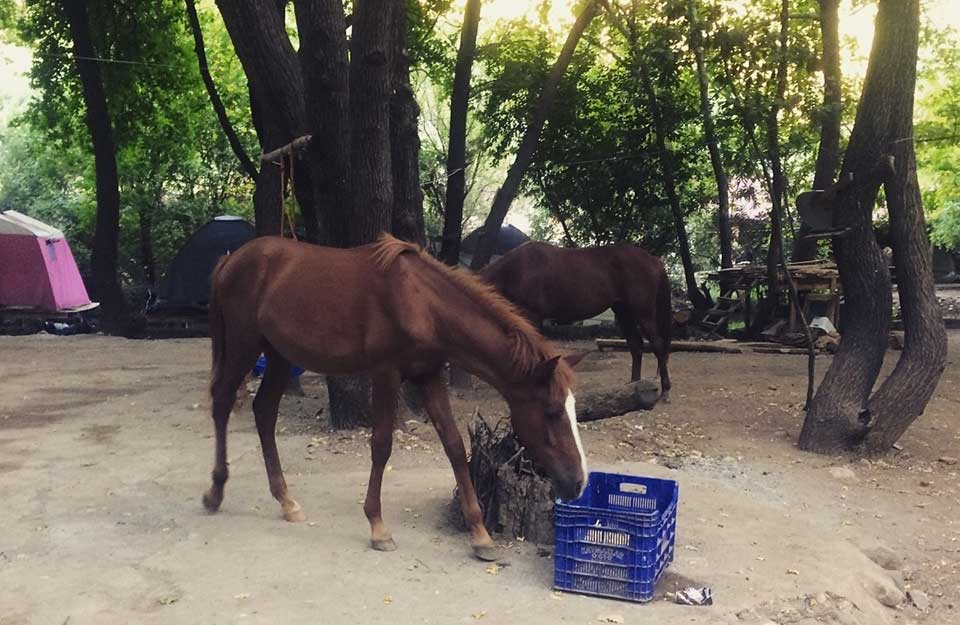 yeşil vadi kahvaltı